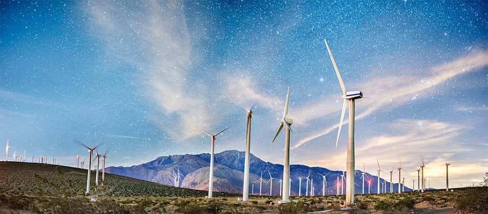 California Desert Palm Springs 956 x 420. jpg